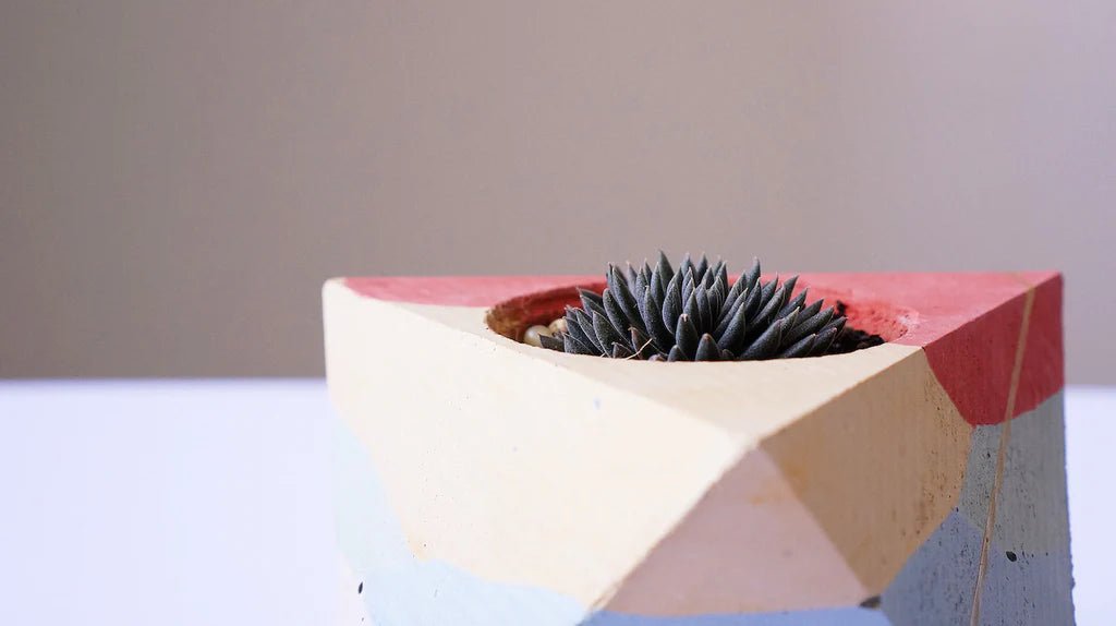 Craft Your Own Urban Oasis: Join a Concrete Planter Workshop Today! - Concrete Everything